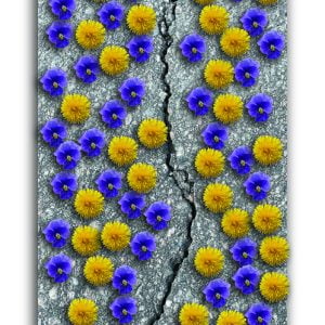 Antaa kaikkien kukkia