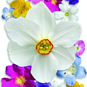 Ken on heistä kaikkein... -2